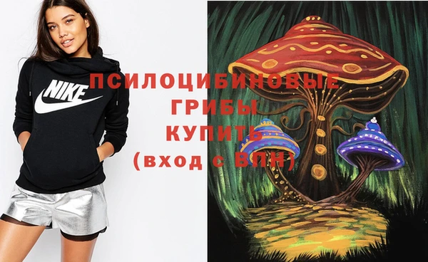 гидра Красноперекопск